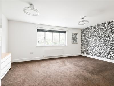 Picture 22